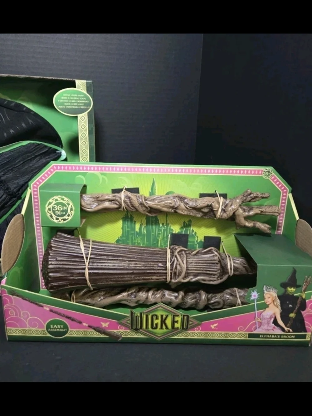 Wicked Witch Kids Costume & Broom